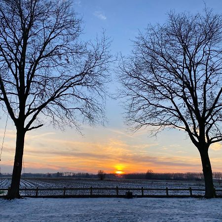 Damse Paveljoentje Comfort En Uitzicht In Damme Exteriér fotografie