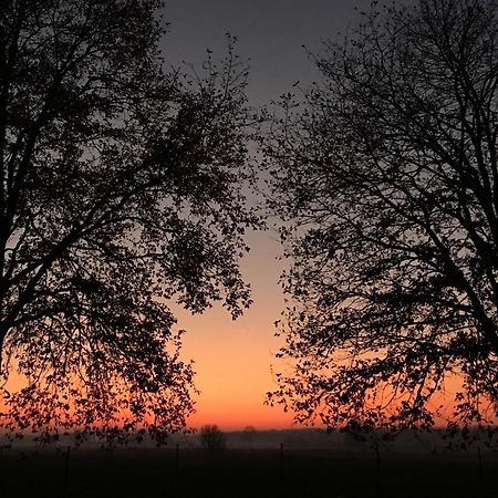 Damse Paveljoentje Comfort En Uitzicht In Damme Exteriér fotografie