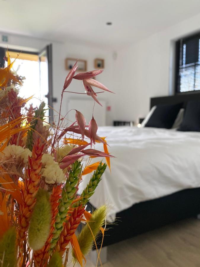 Damse Paveljoentje Comfort En Uitzicht In Damme Exteriér fotografie