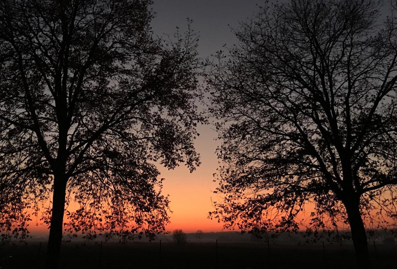 Damse Paveljoentje Comfort En Uitzicht In Damme Exteriér fotografie